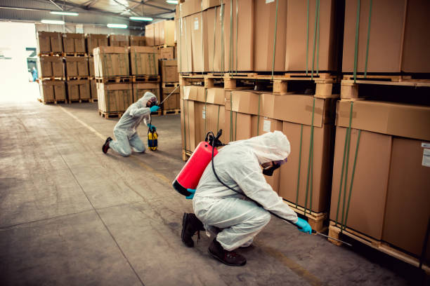 Best Best Pest Control Companies  in West Siloam Springs, OK