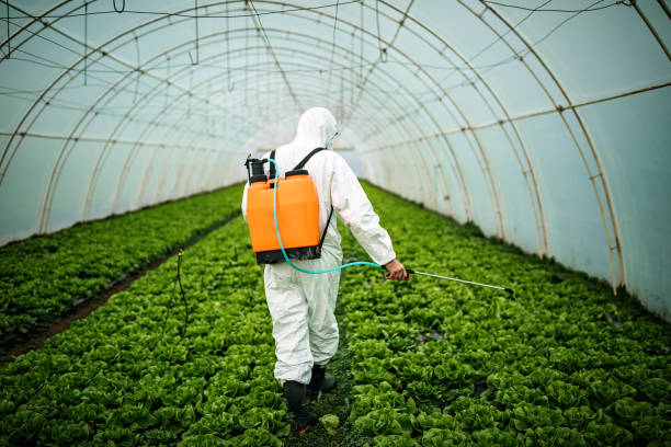 Best Pest Prevention Services  in West Siloam Springs, OK