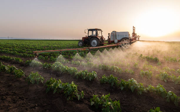 Best Pest Removal Services  in West Siloam Springs, OK