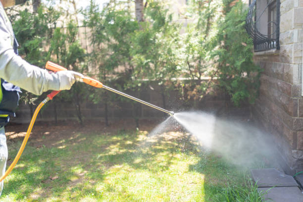 Best Exterminator Services  in West Siloam Springs, OK