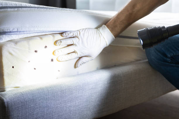 Best Flea Control Services  in West Siloam Springs, OK