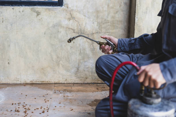 Best Pest Removal Services  in West Siloam Springs, OK